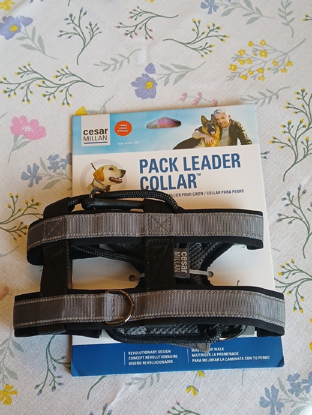 Cesar MILLAN Pack Leader Collar - Gray, Large